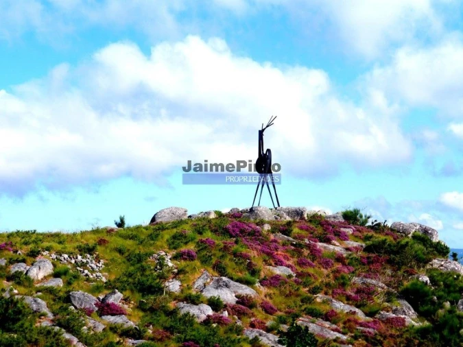 Prédio para Venda em Vila Nova de Cerveira e Lovelhe Foto 1