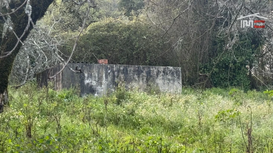 Moradia T3 para Venda em Maçãs de D. Maria Foto 29