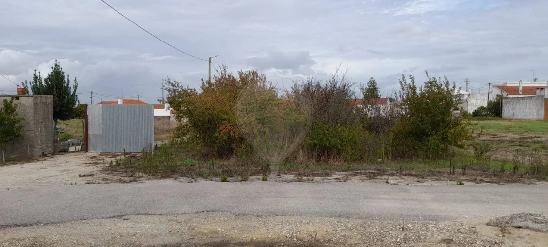 Terreno para Venda em Fazendas de Almeirim Foto 3