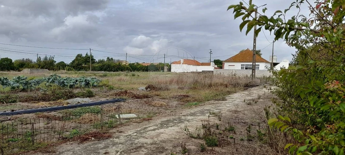 Terreno para Venda em Fazendas de Almeirim Foto 1
