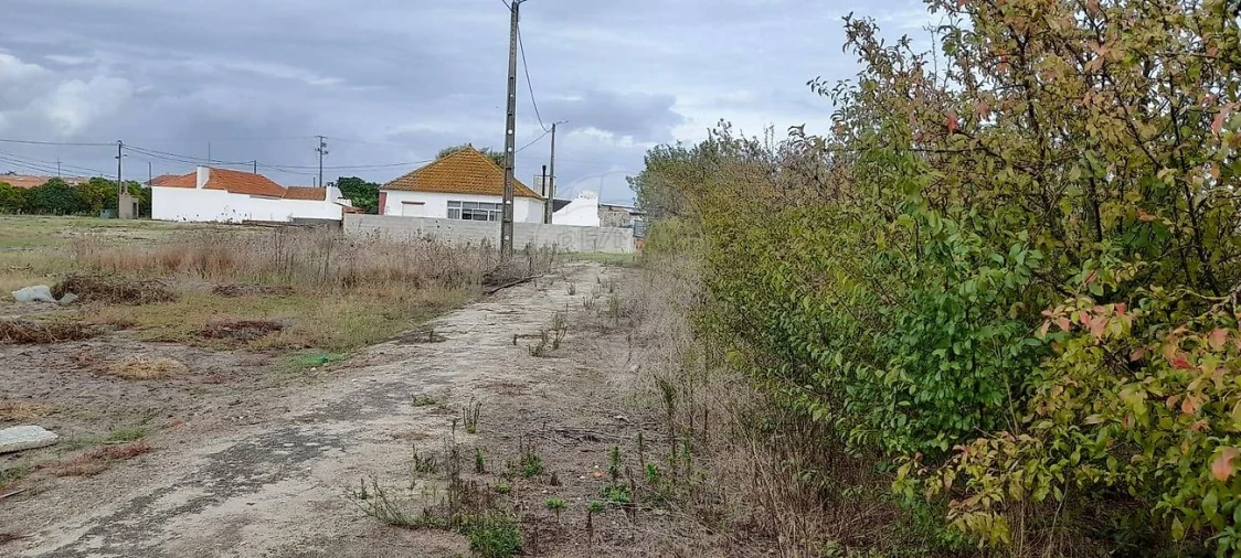 Terreno para Venda em Fazendas de Almeirim Foto 4