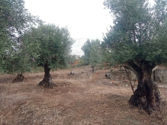 Moradia T1 para Venda em Vale de Cavalos Foto 6