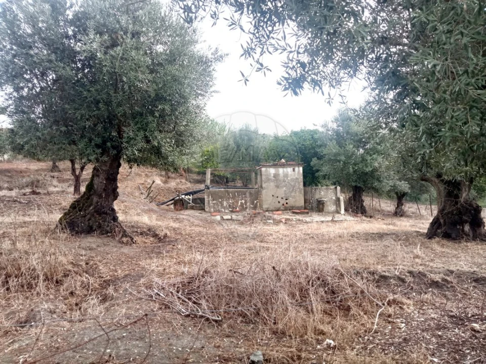 Moradia T1 para Venda em Vale de Cavalos Foto 5