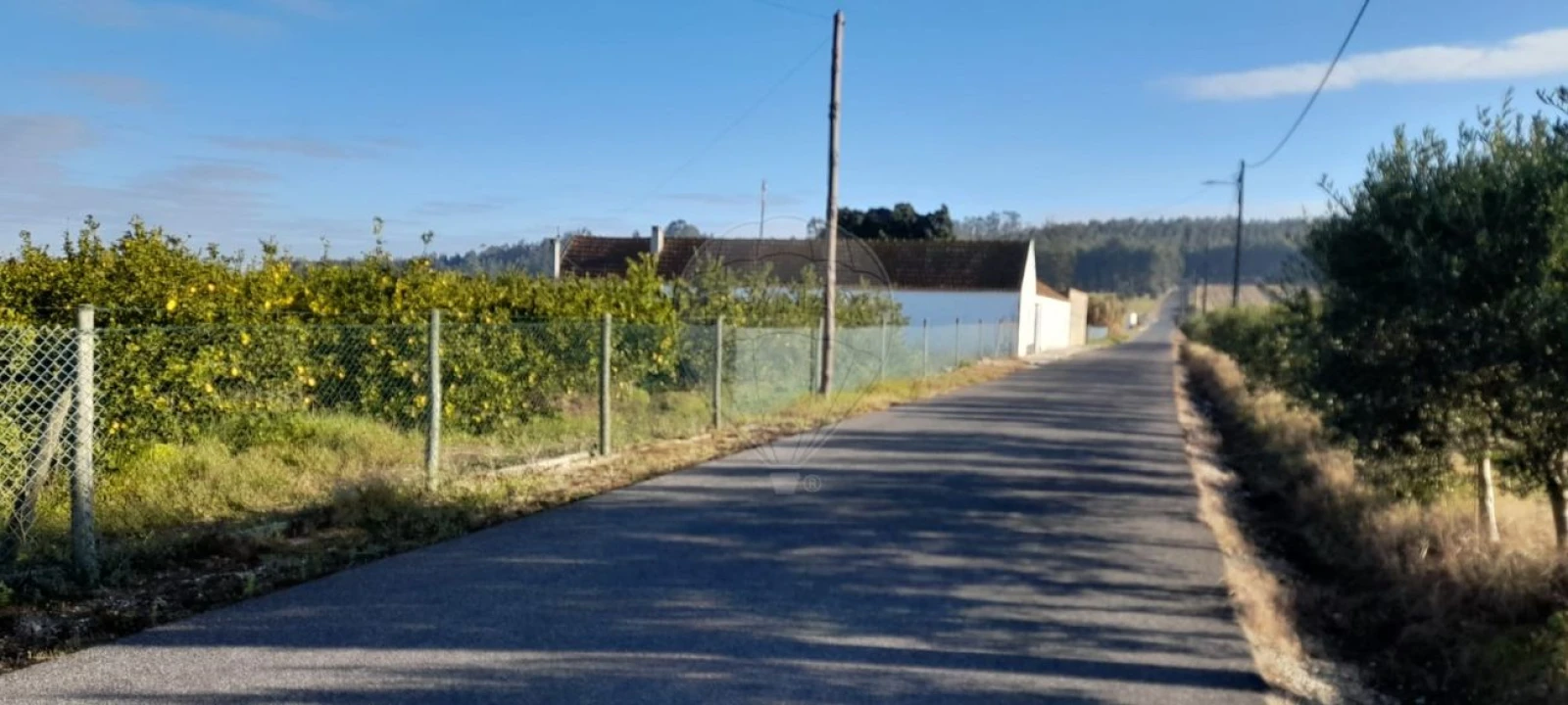 Moradia T3 para Venda em Fazendas de Almeirim Foto 4