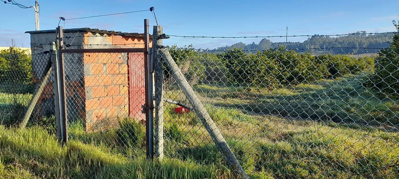 Terreno para Venda em Fazendas de Almeirim Foto 3