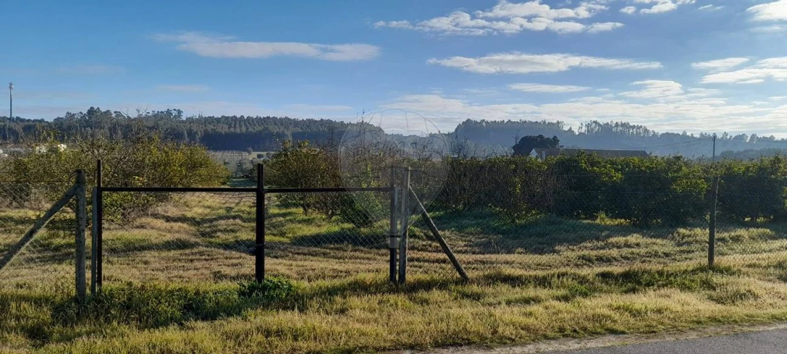 Terreno para Venda em Fazendas de Almeirim Foto 6
