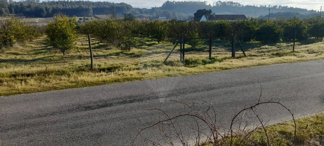 Terreno para Venda em Fazendas de Almeirim Foto 5