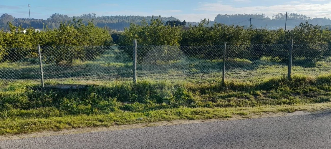 Terreno para Venda em Fazendas de Almeirim Foto 4