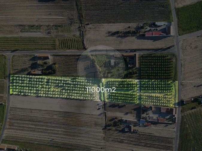 Terreno para Venda em Fazendas de Almeirim Foto 2
