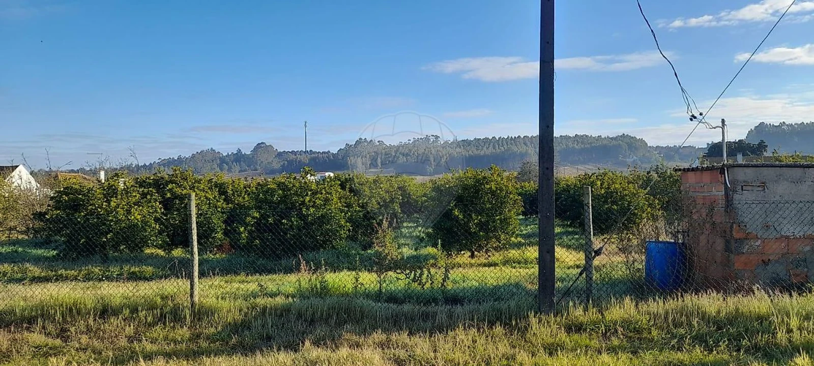 Terreno para Venda em Fazendas de Almeirim Foto 7