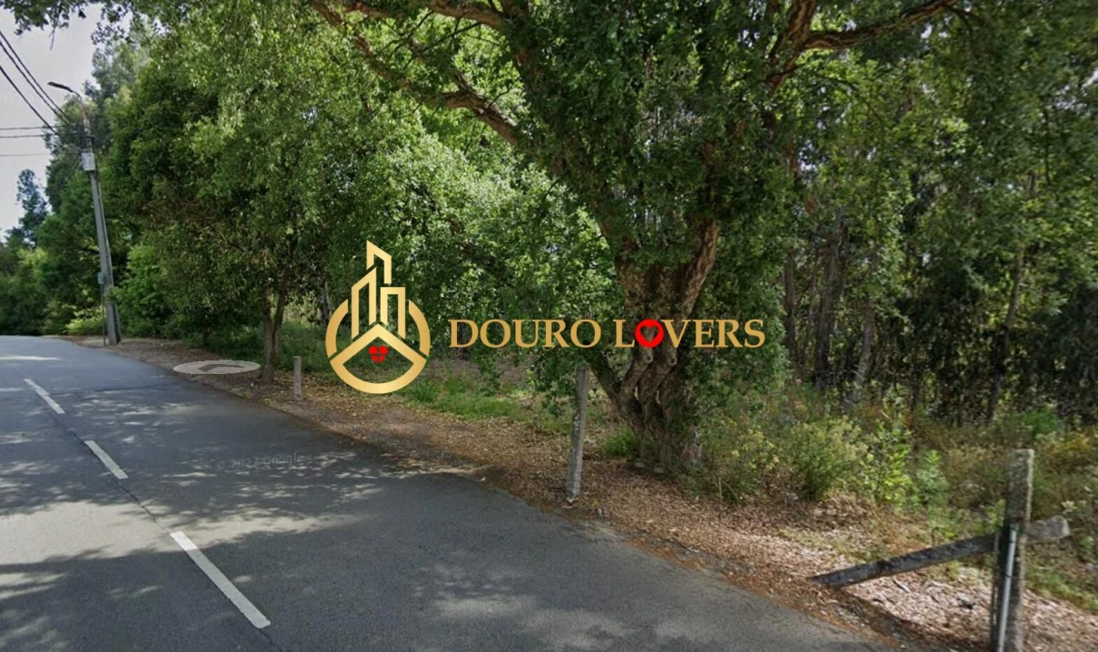 Terreno Agricola ou Rústico para Venda em Santa Marinha e São Pedro da Afurada Foto 2