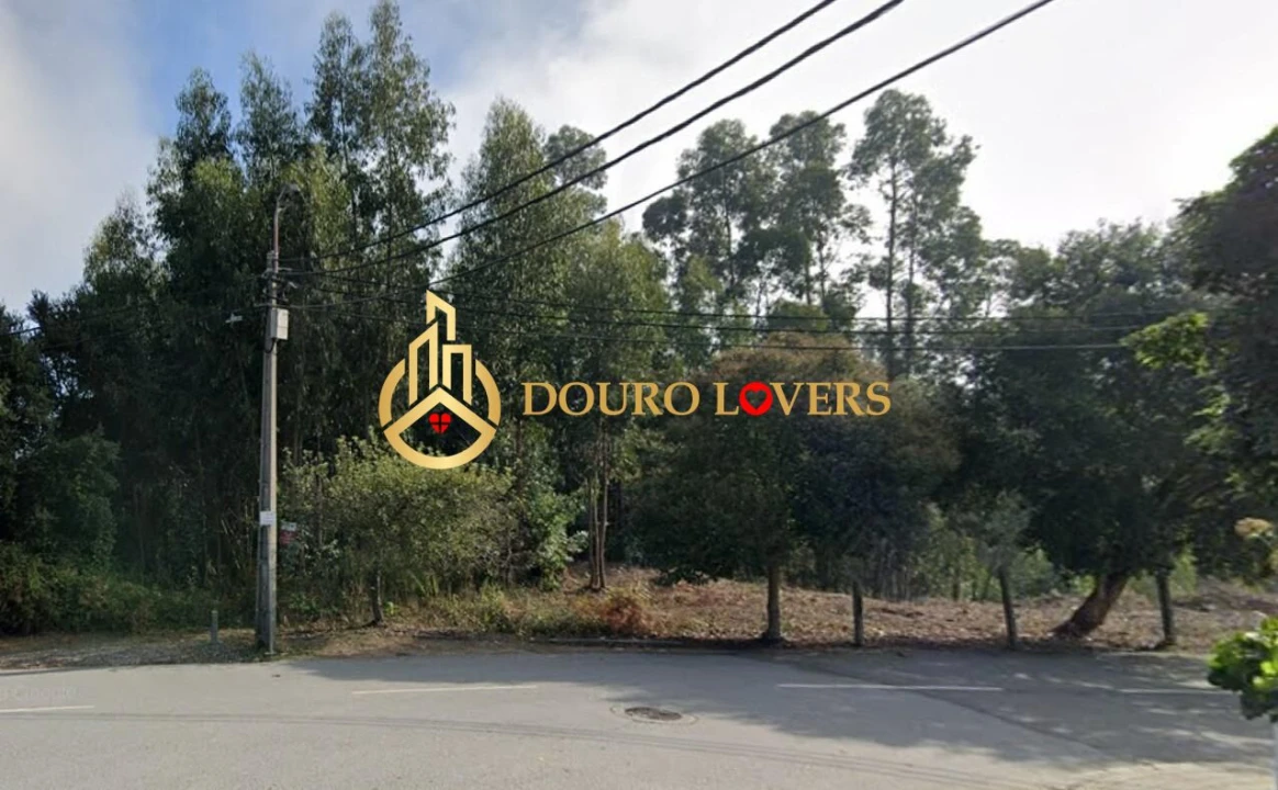 Terreno Agricola ou Rústico para Venda em Santa Marinha e São Pedro da Afurada Foto 3