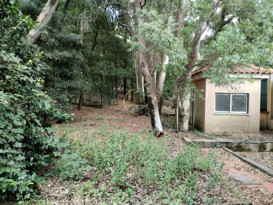 Moradia T5 para Venda em Queluz e Belas Foto 38