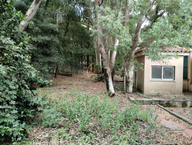 Moradia T5 para Venda em Queluz e Belas Foto 38