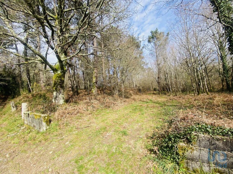 Terreno para Venda em Sapardos Foto 1