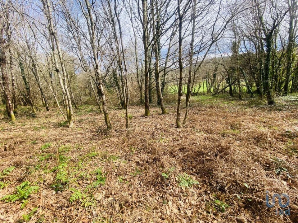 Terreno para Venda em Sapardos Foto 4