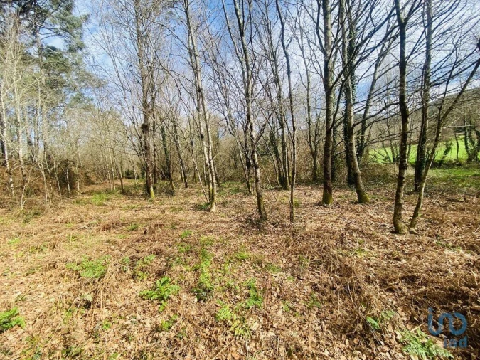 Terreno para Venda em Sapardos Foto 3