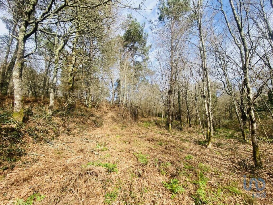 Terreno para Venda em Sapardos Foto 2