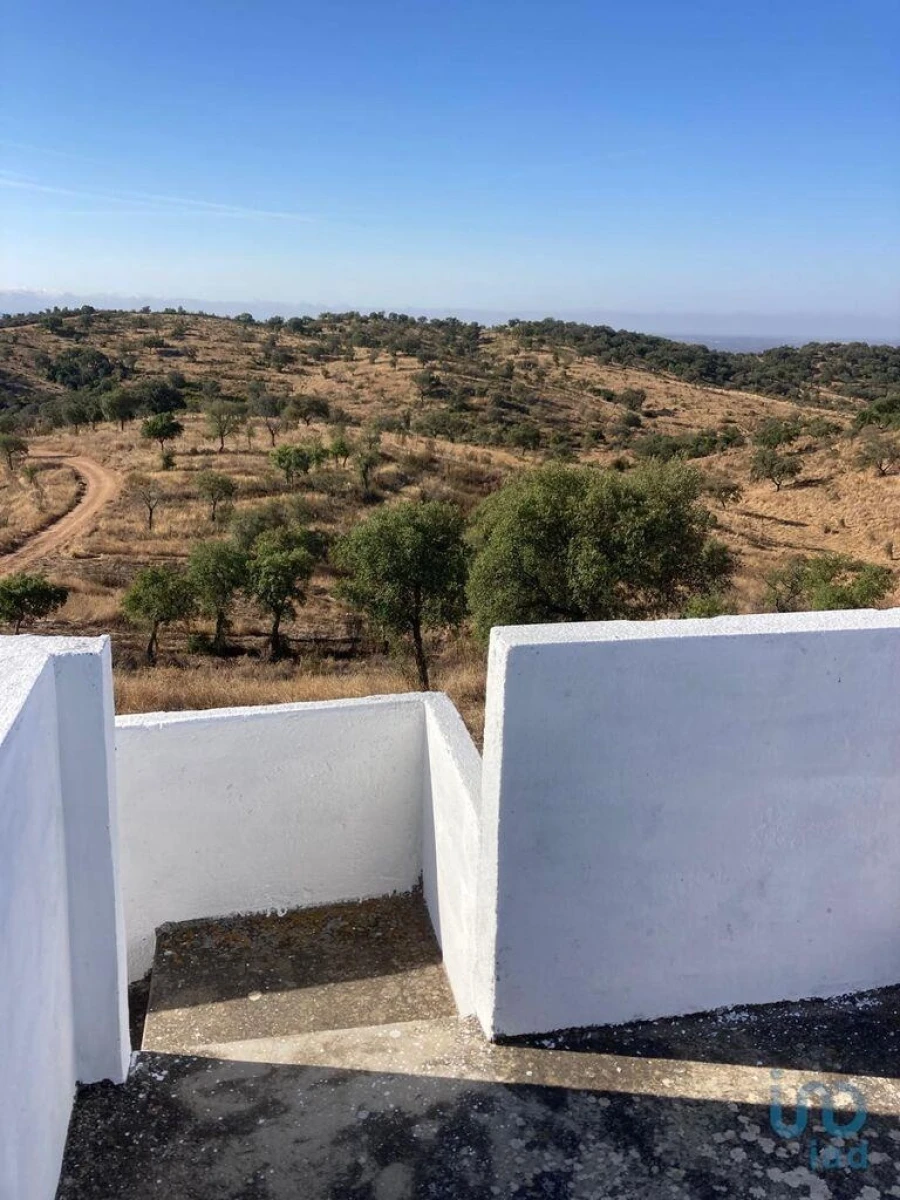 Terreno para Venda em Santo Agostinho e São João Baptista e Santo Amador Foto 15