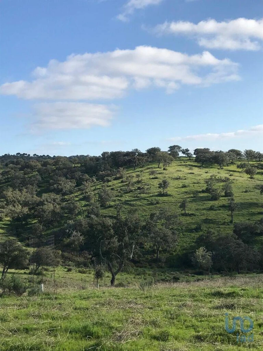 Terreno para Venda em Santo Agostinho e São João Baptista e Santo Amador Foto 8