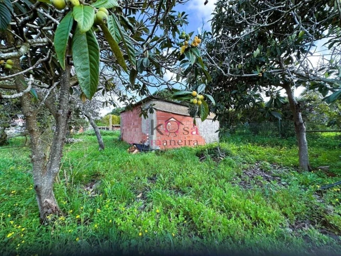 Quinta T2 para Venda em Porto Covo Foto 11