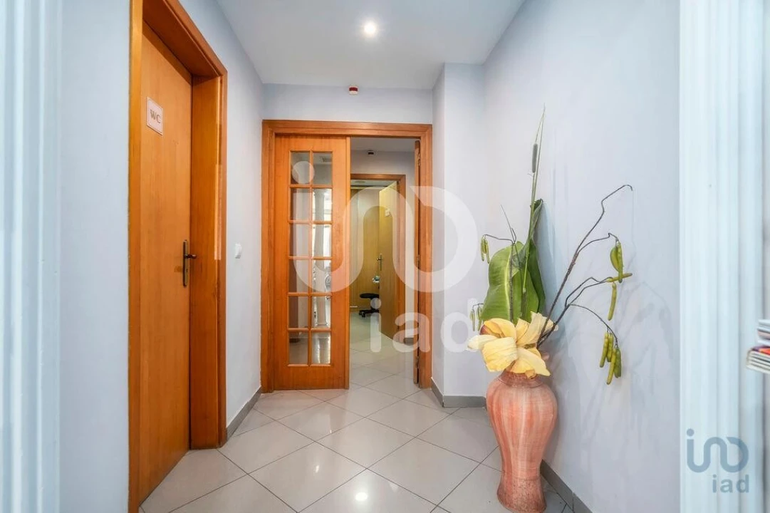 Loja para Venda em Montenegro Foto 13