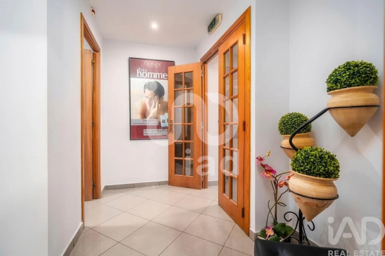 Loja para Venda em Montenegro Foto 17