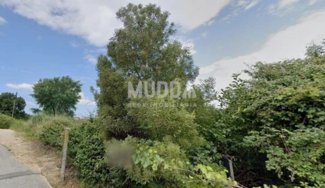 Terreno para Venda em São João da Madeira