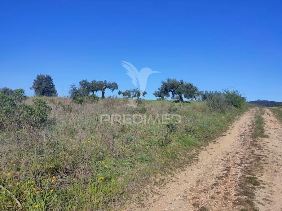 Terreno para Venda em Monsanto Foto 1