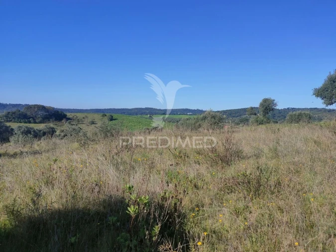 Terreno para Venda em Monsanto Foto 2