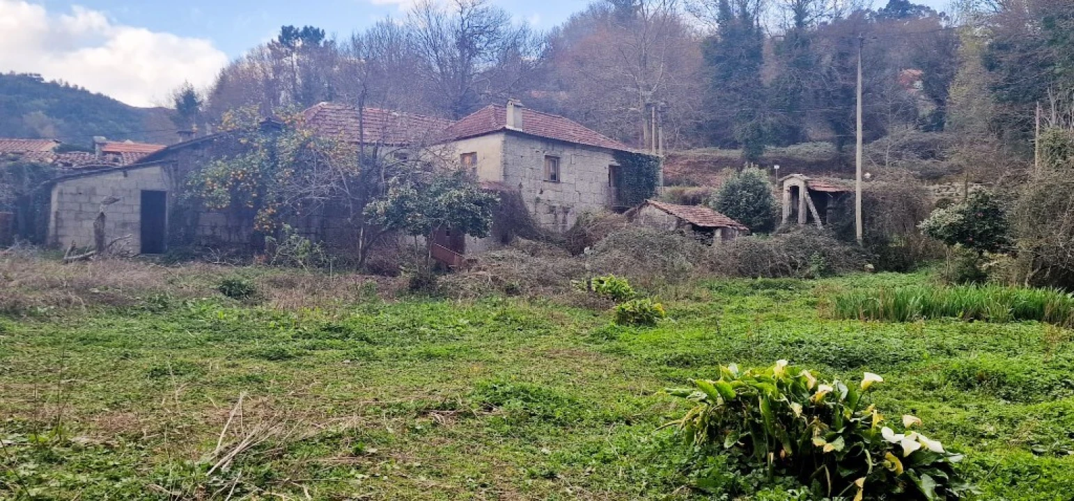 Quinta para Venda em Cantelães Foto 2
