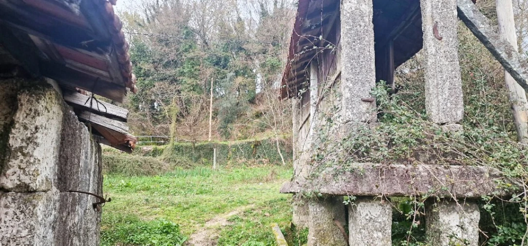 Quinta para Venda em Cantelães Foto 7