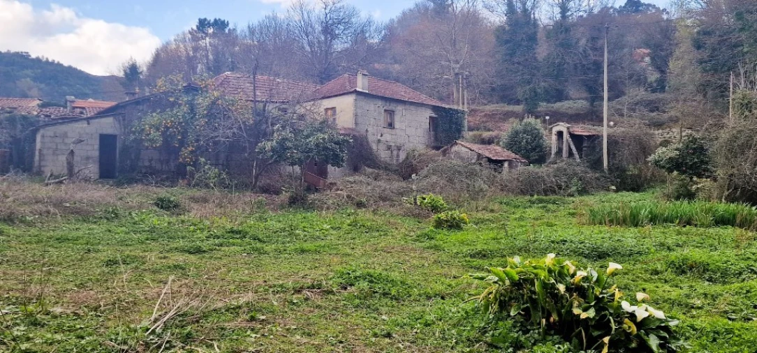 Quinta para Venda em Cantelães Foto 2