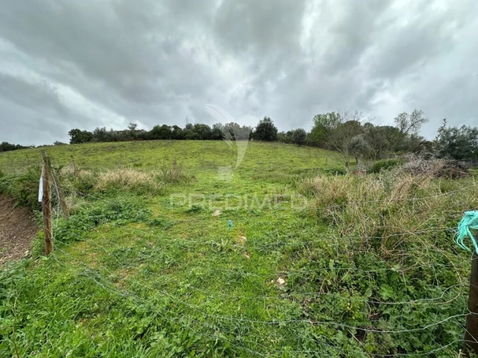 Terreno para Venda em Achete, Azoia de Baixo e Póvoa de Santarém Foto 4