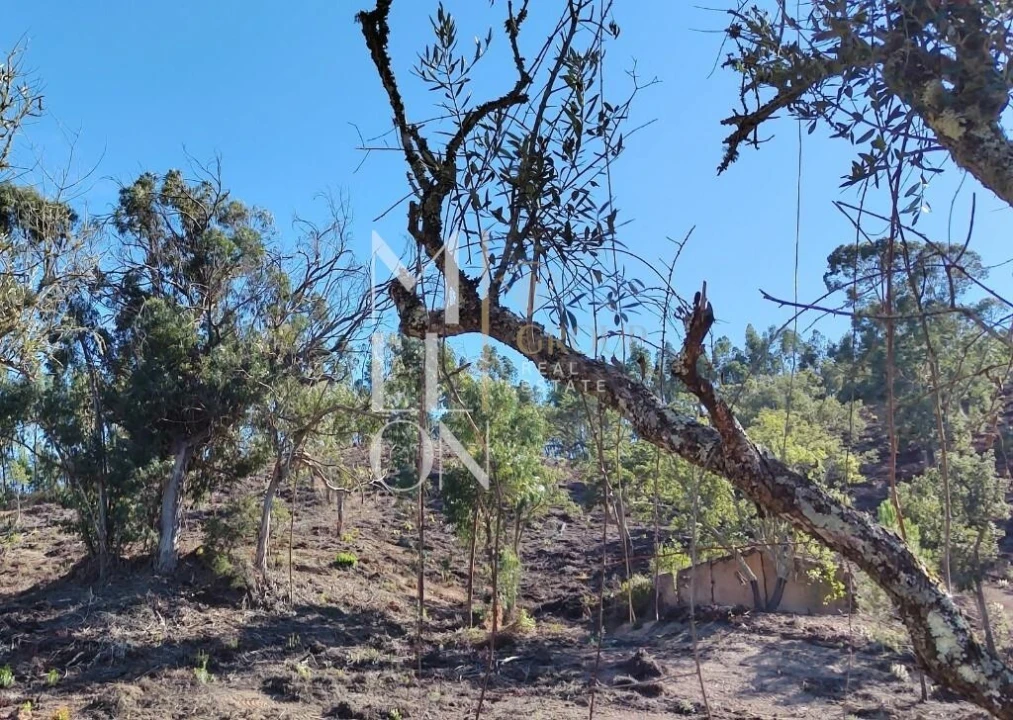 Moradia T2 para Venda em São Teotónio Foto 6