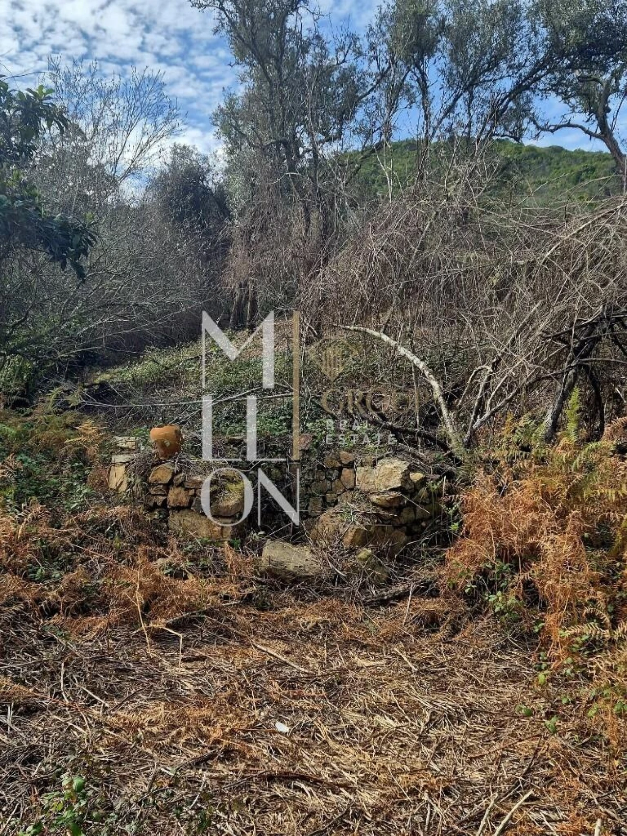 Moradia T2 para Venda em São Teotónio Foto 10