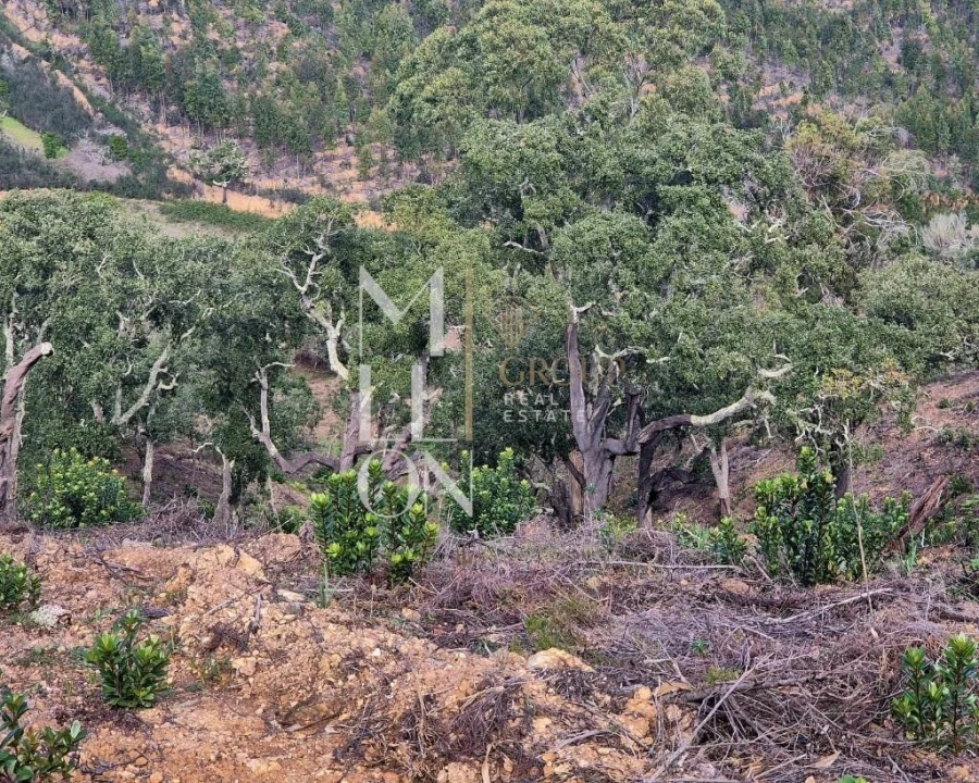 Moradia T2 para Venda em São Teotónio Foto 16