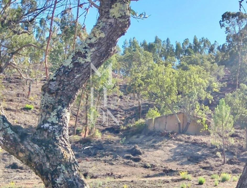 Moradia T2 para Venda em São Teotónio Foto 2