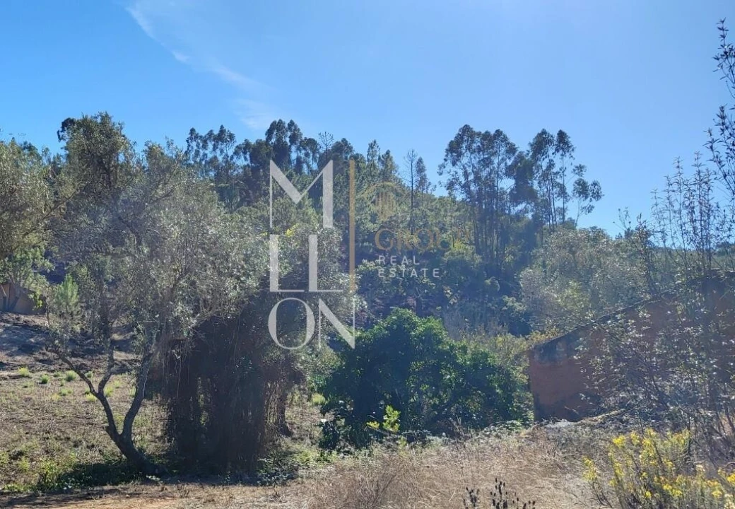 Moradia T2 para Venda em São Teotónio Foto 19