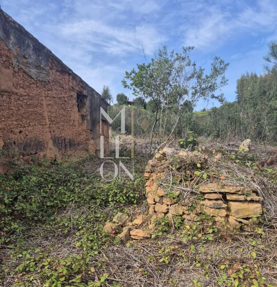 Moradia T2 para Venda em São Teotónio Foto 3