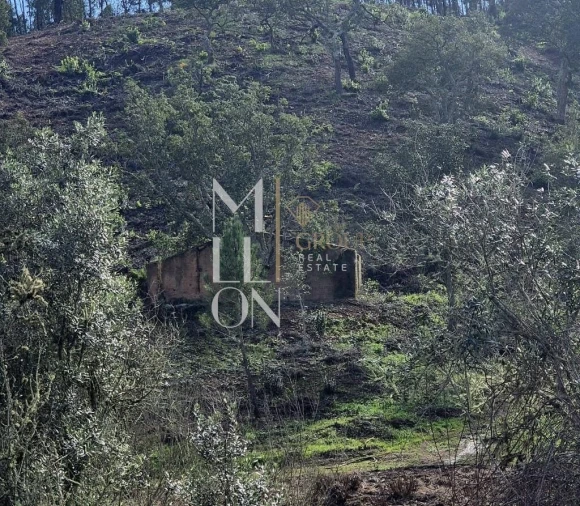 Moradia T2 para Venda em São Teotónio Foto 4