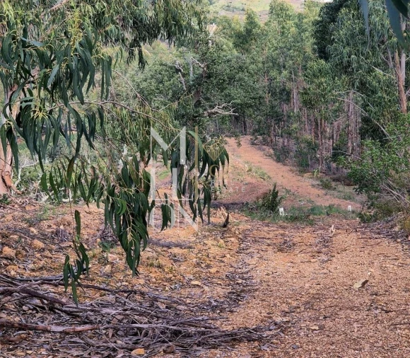 Moradia T2 para Venda em São Teotónio Foto 17