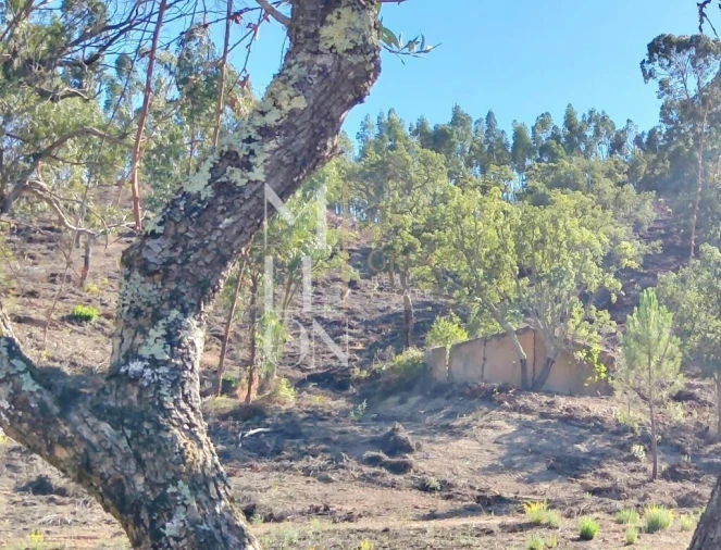 Moradia T2 para Venda em São Teotónio Foto 2