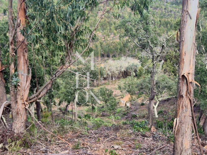 Moradia T2 para Venda em São Teotónio Foto 13