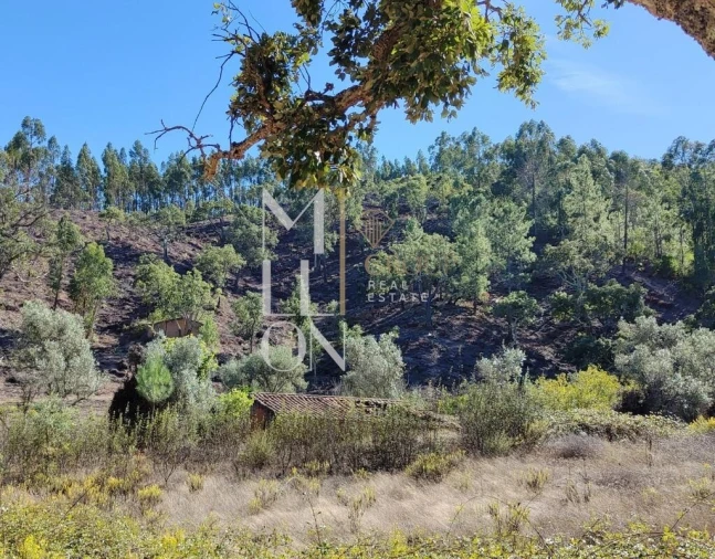 Moradia T2 para Venda em São Teotónio Foto 7