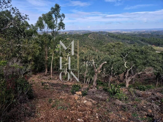 Moradia T2 para Venda em São Teotónio Foto 14