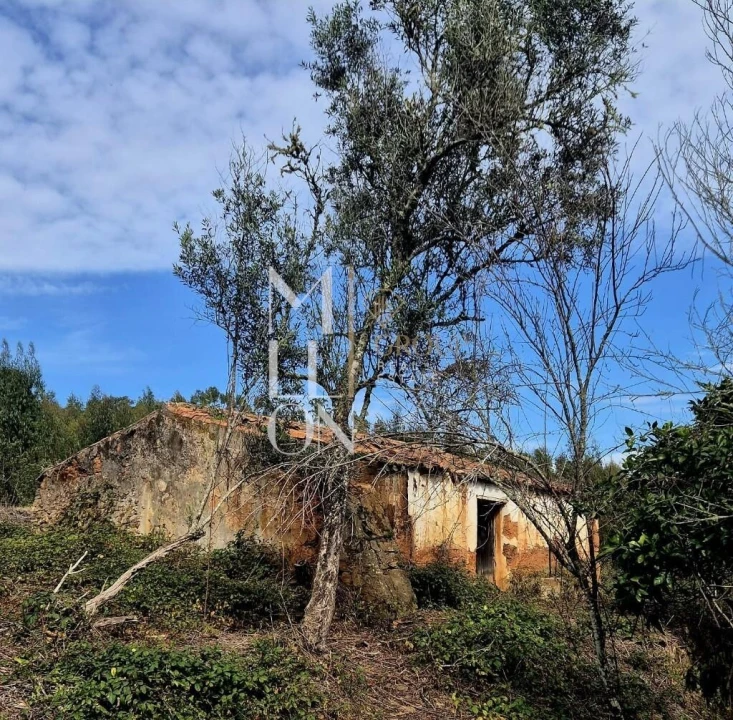 Moradia T2 para Venda em São Teotónio Foto 1