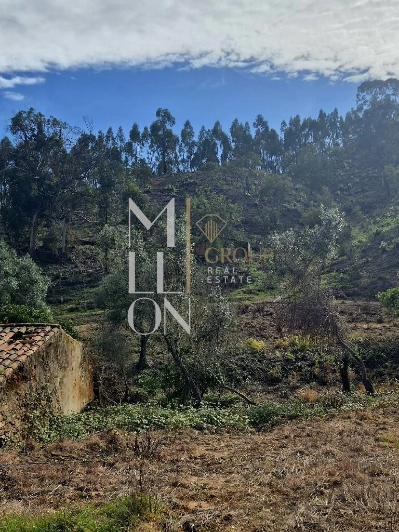 Moradia T2 para Venda em São Teotónio Foto 5