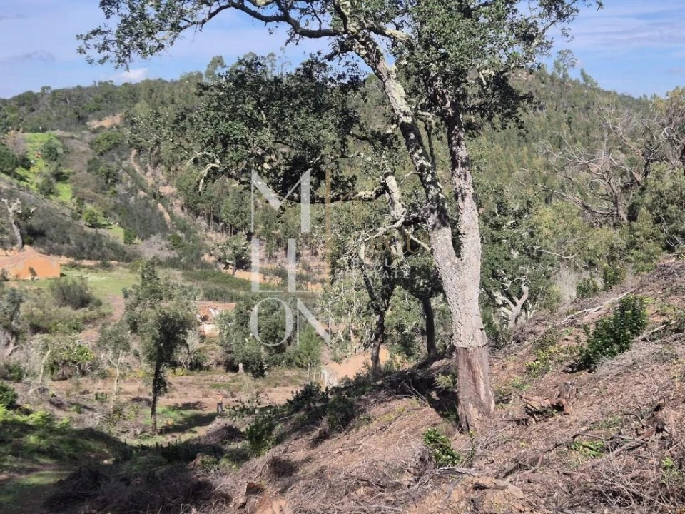 Moradia T2 para Venda em São Teotónio Foto 18