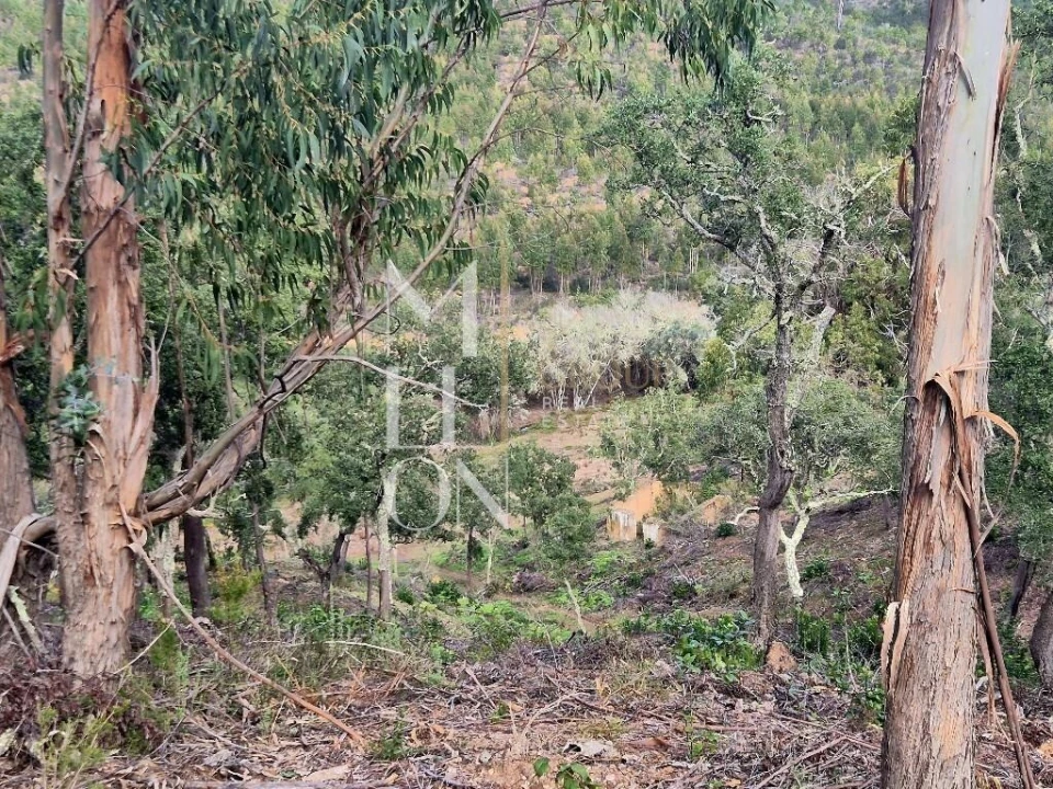 Moradia T2 para Venda em São Teotónio Foto 13